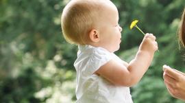 Künstliche Befruchtung im Ausland, in Polen (IVF im Ausland / Polen)