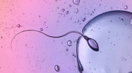ICSI (intrazytoplasmatische Spermieninjektion) - worauf beruht diese Methode?