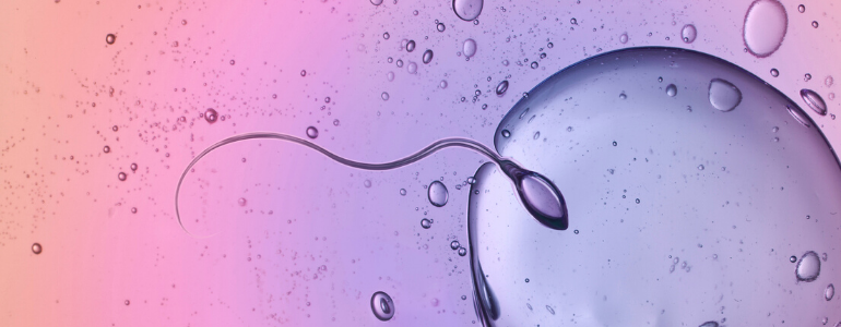 ICSI (intrazytoplasmatische Spermieninjektion) - worauf beruht diese Methode?