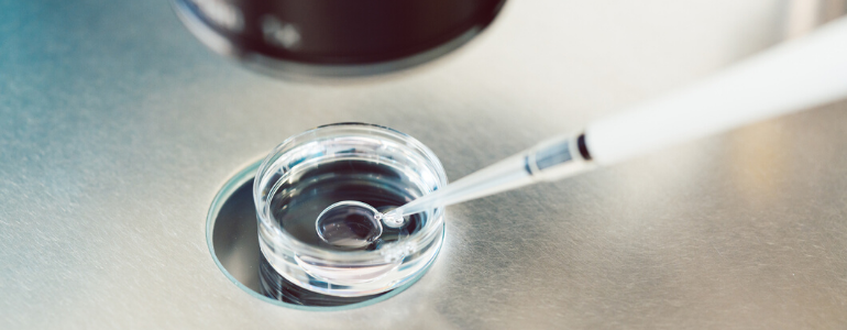 Lernen Sie In-vitro-Techniken kennen