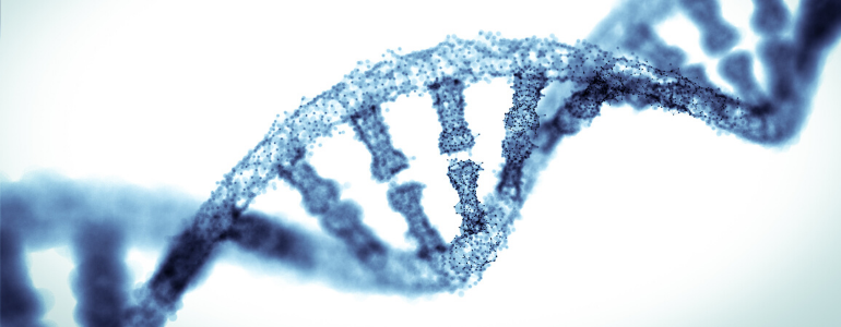 Genetische Untersuchungen des Embryos. Was unterscheidet eine PGD- und eine PGS-Untersuchung?